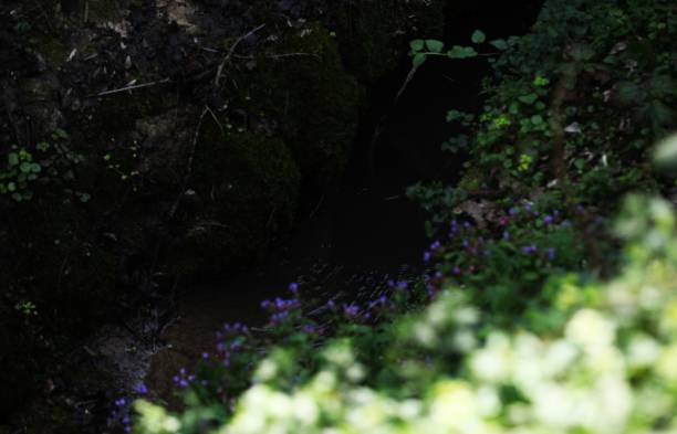 River canyon in nature, landscape
