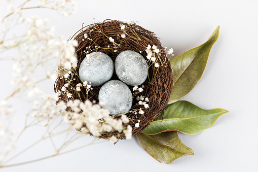 Brown nest of twigs with three gray Easter eggs, feathers, dried magnolia leaves and sprigs of gypsophila on gray background. Minimalistic Easter concept