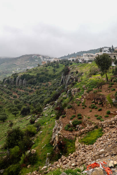 ajloun, jordan - mount of olives photos et images de collection