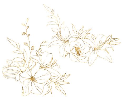 Watercolor gold linear bouquet of ranunculus, lily, lotus, magnolia and rose. Hand painted meadow flowers and leaves isolated on white background. Floral illustration for design, print or background
