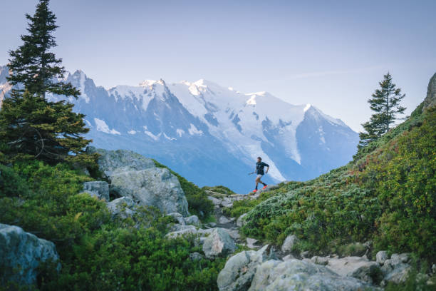 istock Trail runner bounds along mountain trail 1478079791