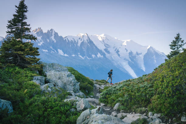 istock Trail runner bounds along mountain trail 1478079854