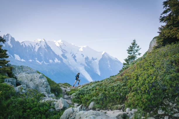 istock Trail runner bounds along mountain trail 1478079947