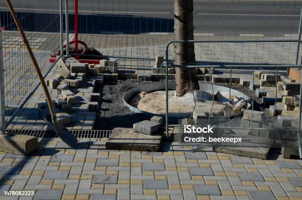 Laying Concrete Pavers In The Courtyard With Circular Holes For Planting Trees Landscape Architecture Plantings In The City Fencing Ensures Safety For Pedestrians Stock Photo - Download Image Now