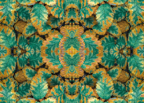 Botanic motif digital art technique photo collage pattern background design