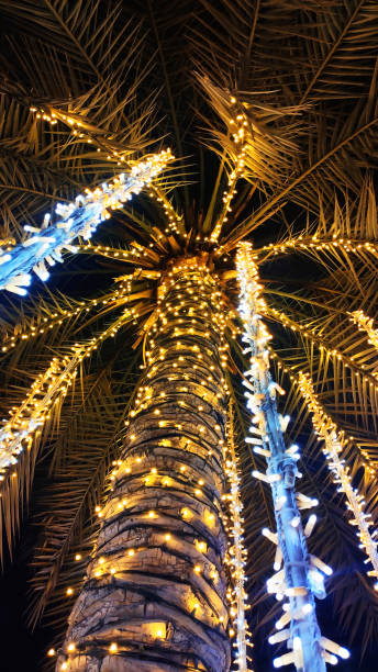 istock Palm trees with luminous garlands at night in Dubai. 1478089524