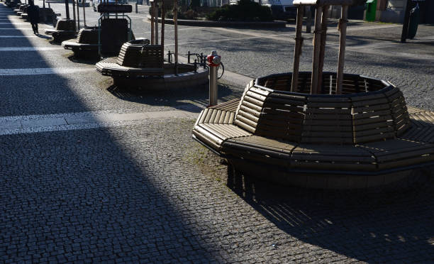 tree bowls raised above ground square fitted around perimeter with circular benches composed of smaller planks bypassing trunk of the tree. paving of flowerpot is gradually paved granite cube, cubes cuencos de árboles elevados sobre el suelo cuadrados instalados alrededor del perímetro con bancos circulares compuestos por tablones más pequeños que evitan el tronco del árbol. el pavimento de la maceta se pavimenta gradualmente cubo de granito, cub