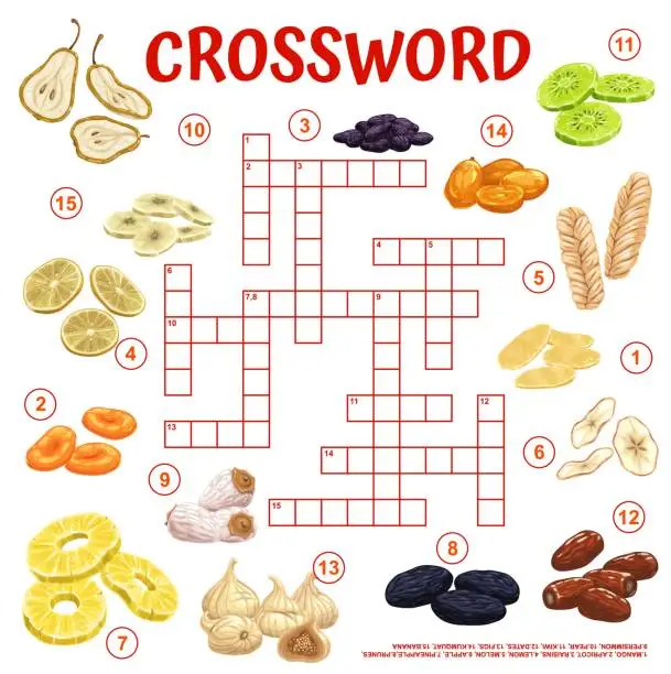 Vector illustration of Dried fruits and snacks crossword grid puzzle game