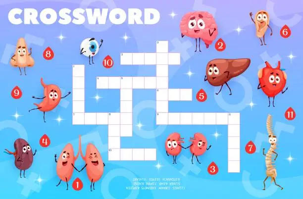 Vector illustration of Crossword quiz game grid. Human organ characters