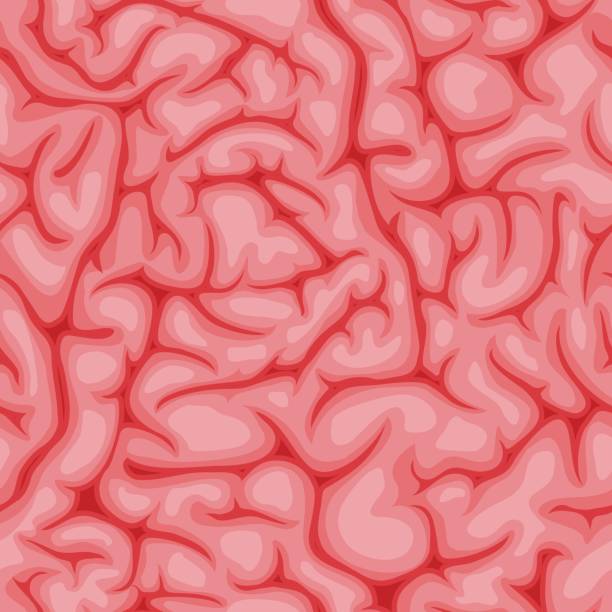 Brain Texture Background Vector 1,800+ Cortex Texture Stock Photos, Pictures & Royalty-Free Images - iStock