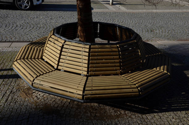 tree bowls raised above ground square fitted around perimeter with circular benches composed of smaller planks bypassing trunk of the tree. paving of flowerpot is gradually paved granite cube, cubes cuencos de árboles elevados sobre el suelo cuadrados instalados alrededor del perímetro con bancos circulares compuestos por tablones más pequeños que evitan el tronco del árbol. el pavimento de la maceta se pavimenta gradualmente cubo de granito, cub