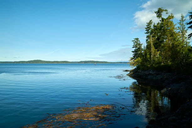 istock Johnstone Strait Calm Water Vancouver Island 1478100695