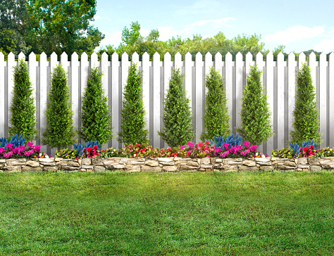Empty backyard with green grass, trees, flowers and a white picket fence