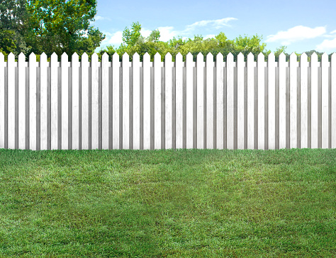 Empty backyard with green grass, and white picket fence