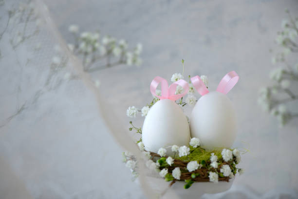 white Easter eggs with pink bunny ears in nest with white small flowers through lace curtain. Easter background or postcard stock photo