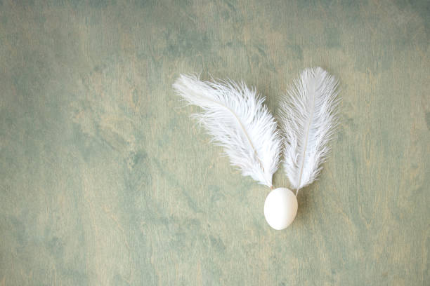 Easter background, egg and white feathers in form of hare on green wooden background stock photo