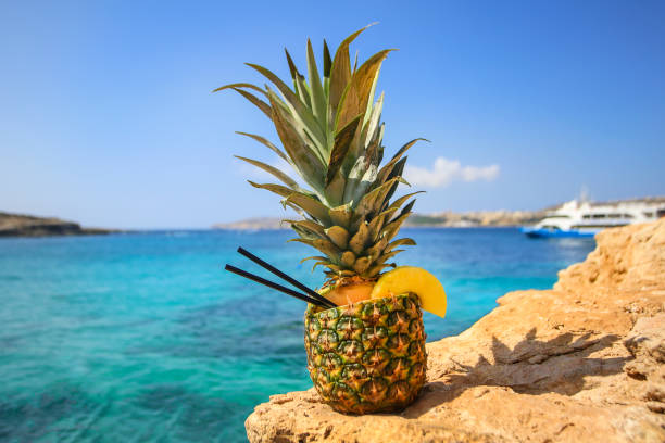 パイナップルのトロピカルカクテルドリンク - pineapple milkshake ストックフォトと画像