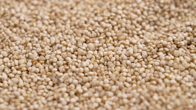 Raw organic quinoa dietary seeds close up