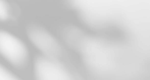 istock Realistic blurred natural light leaves, palm and window shadow overlay on wall paper or frames texture, abstract background, summer, spring, autumn for product presentation podium and mockup seasonal. 1478121262