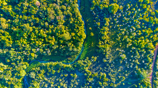 drone photo sucuri river bonito mato grosso do sul brazil
