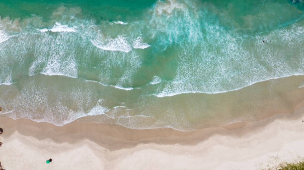 istock beach of ilheus governor celso ramos 1478122483