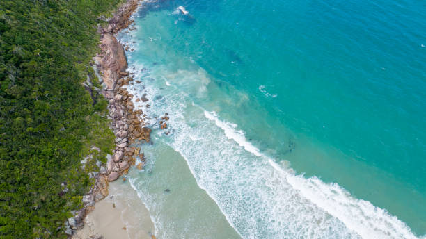 istock beach of ilheus governor celso ramos 1478122572