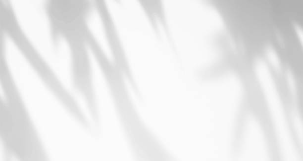 istock Realistic blurred natural light leaves, palm and window shadow overlay on wall paper or frames texture, abstract background, summer, spring, autumn for product presentation podium and mockup seasonal. 1478122693