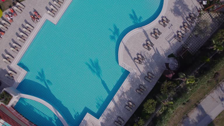 Palm trees and pool