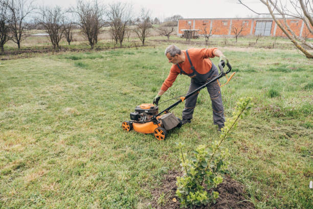 istock A senior with a lawnmower mows the lawn in the yard 1478129914