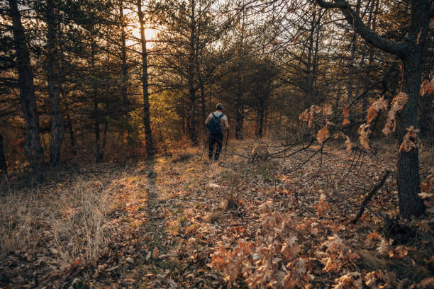 istock An elderly man is walking in the forest 1478130180