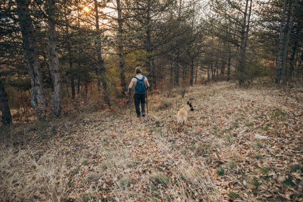 istock An active lonely elderly man is recreating, walking his dog in nature 1478130314