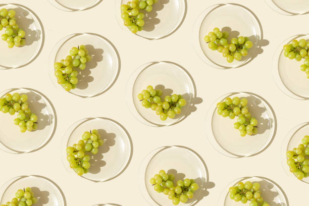 istock Food pattern from bunch white grapes on glass plate with shadows at sunlight, minimal style summer fruit on beige colored fon, green berries of grape, top view, trend flat lay, food 1478134053