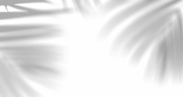 istock Realistic blurred natural light leaves, palm and window shadow overlay on wall paper or frames texture, abstract background, summer, spring, autumn for product presentation podium and mockup seasonal. 1478136741