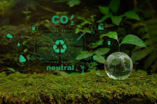 istock A tree grows on Earth and an icon for a sustainable development organization. Environmentally responsible business 1478138799