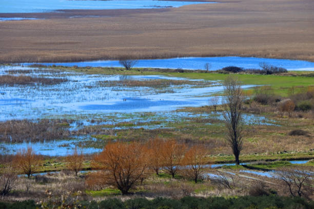 istock Lake Vrana, Croatia 1478139889