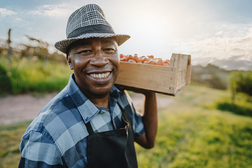 Portrait of a man in the countryside harvesting fruit spondias siriguela seriguela ciriguela ceriguela