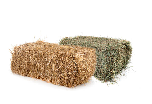 istock bundles of straw and hay 1478142886