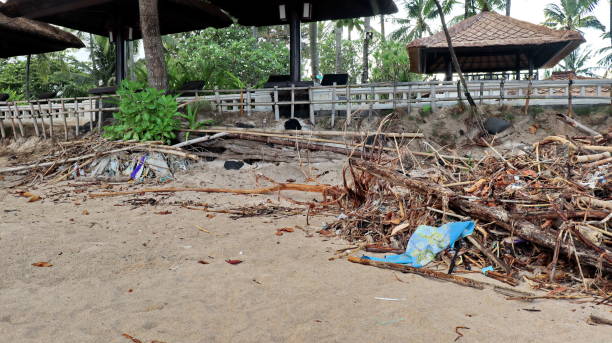 istock Beach pollution. Plastic, wood and other trash on sea beach. 1478147958