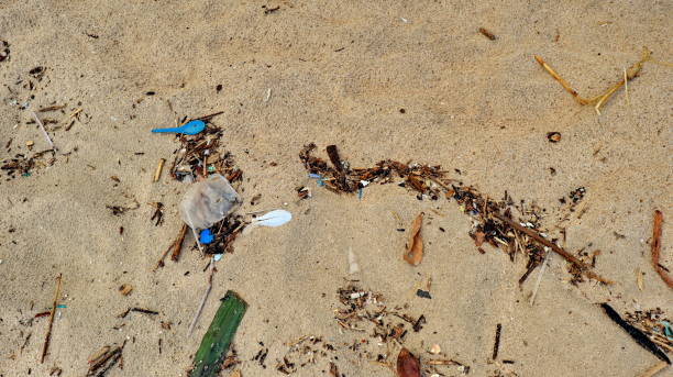 istock Beach pollution. Plastic, wood and other trash on sea beach. 1478148905