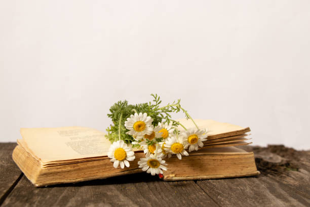 istock open old book and daisies on a wooden table 1478155288