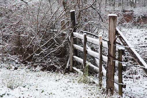 Snow view in the fenced garden on a sunny winter day