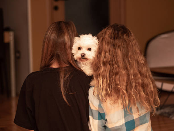 istock Rear view two girls and dog 1478165988