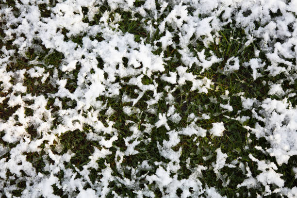 istock texture of snow and ice on the ground 1478167556