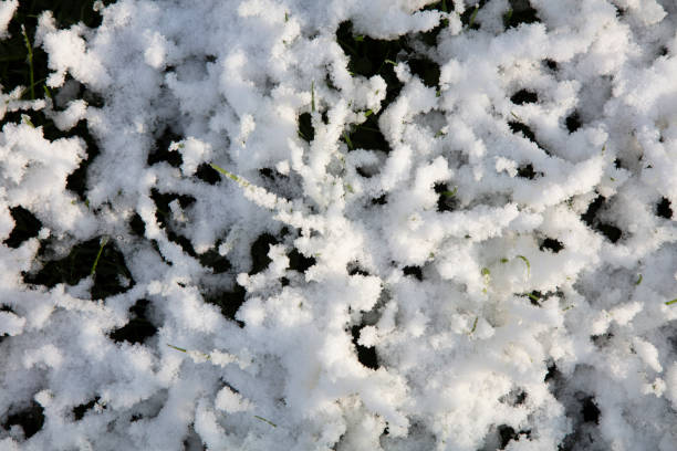texture of snow and ice on the ground