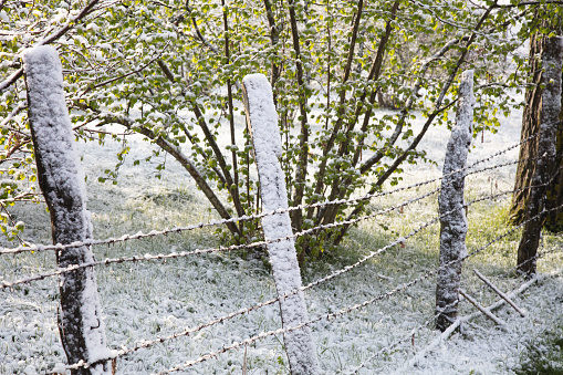 Snow view in the fenced garden on a sunny winter day