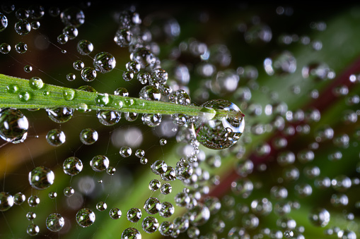 Rain drops on a black background. The background can be remove using a blending mode like screen.