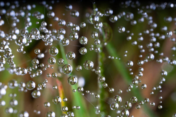 Magnificent spatial structure of moisture balls (crystal) strung on a cobweb. It's like an enlarged molecular structure, an electronic model of the atomic process. Ultra macro