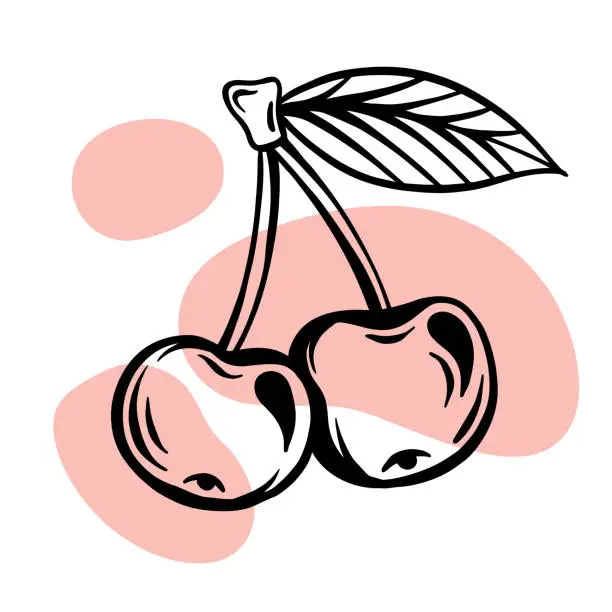 Vector illustration of Girl's beautiful transferable temporary tattoo. Cherry in the style of lineart and engraving.  Two berries