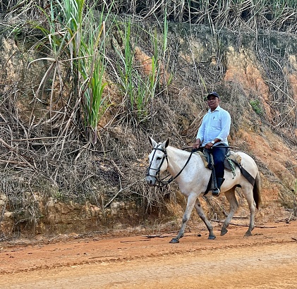 Rio Formoso, Pernambuco, Brazil - January 23,2023 : A lone adult Brazilian man riding his horse along a dirt road while scanning the group of crazy senior American birders