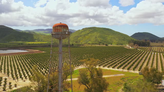 Old water tower with lemon tree orchid in symmetrical rows, fly over aerial view with mountain background